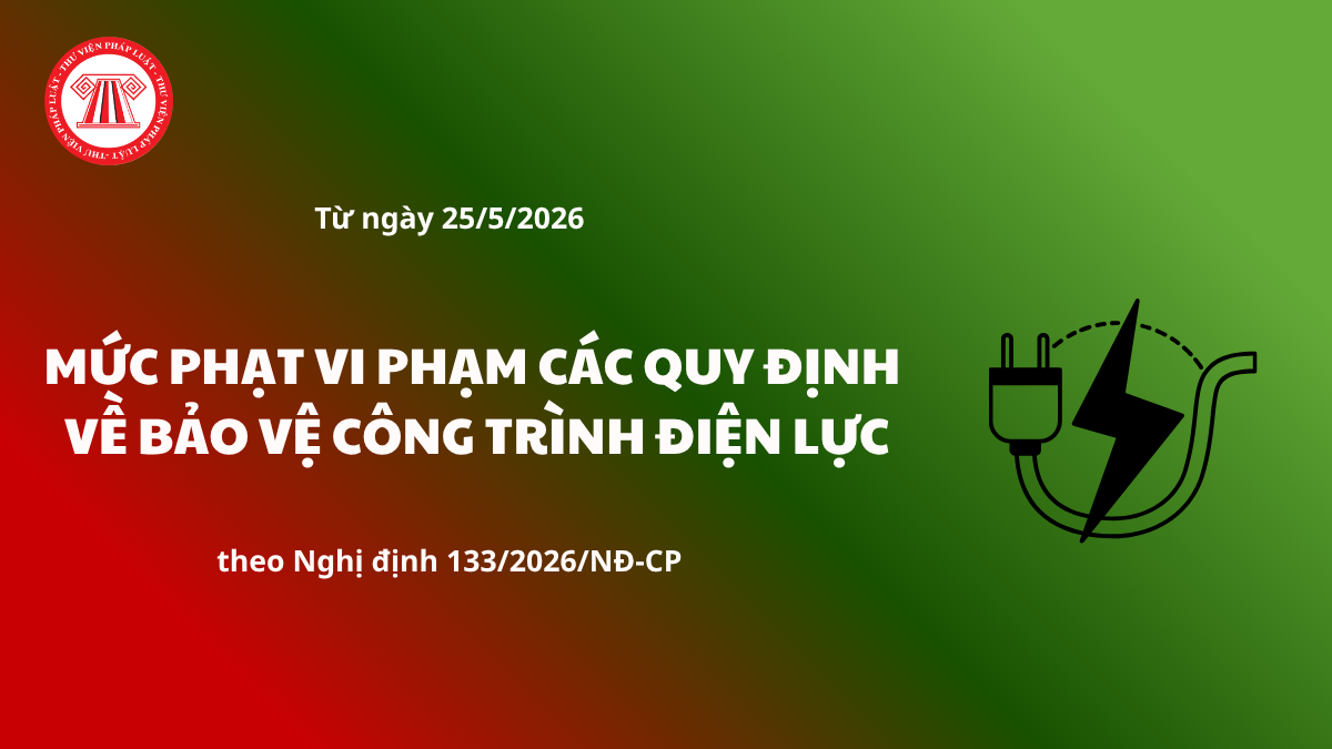 Pháp luật