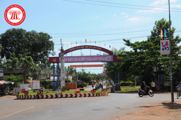 Pháp luật