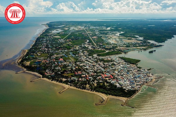 Pháp luật
