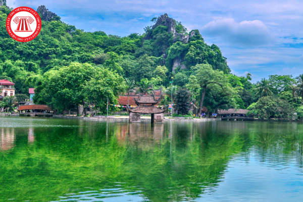 Pháp luật