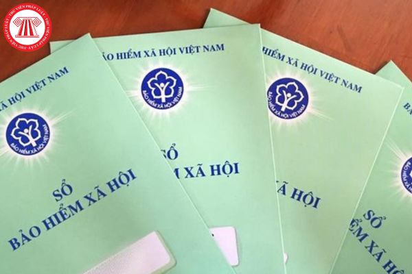 Pháp luật