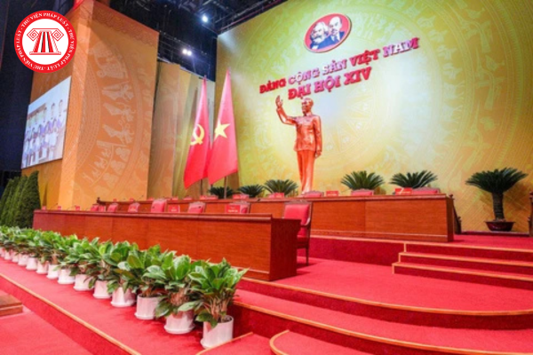 Pháp luật
