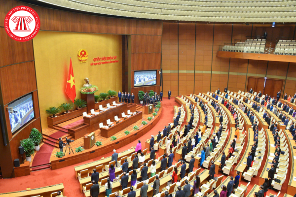 Pháp luật