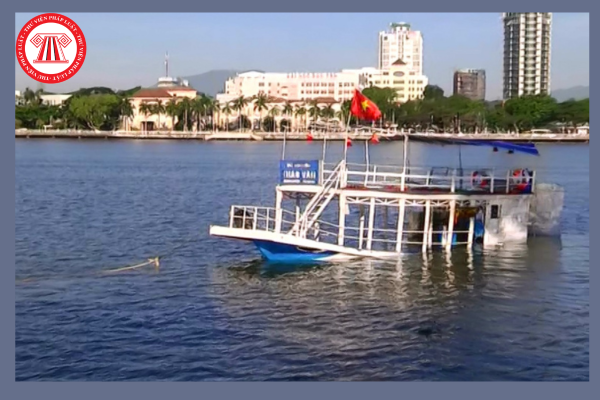 Pháp luật
