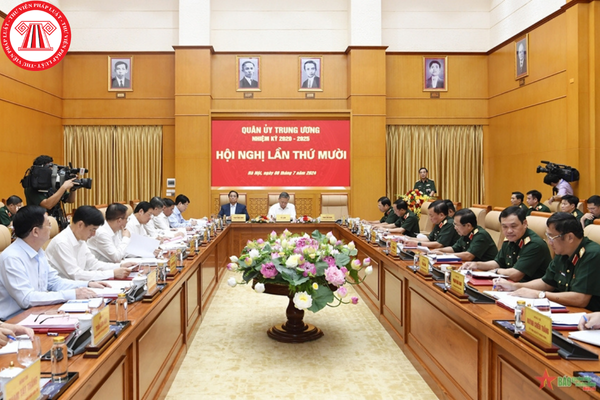 Pháp luật