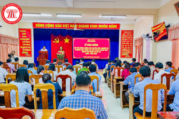 Pháp luật