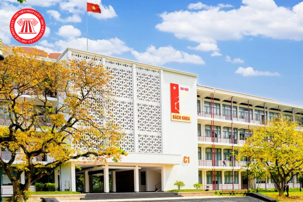 Pháp luật
