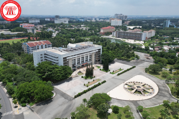 Pháp luật