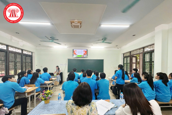 Pháp luật