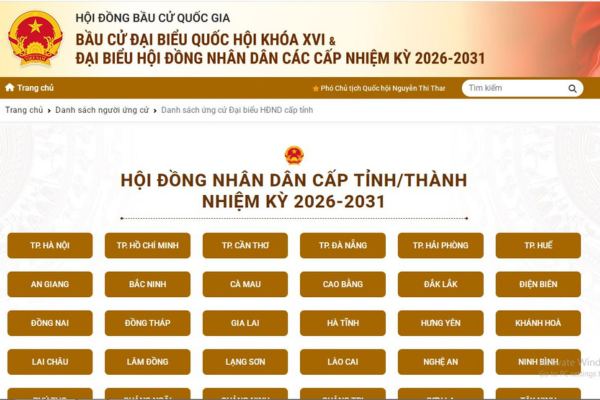 Cách coi danh sách ứng cử đại biểu HĐND tỉnh