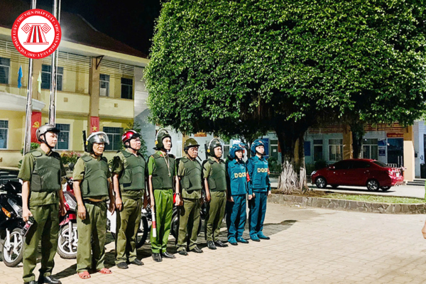 Pháp luật