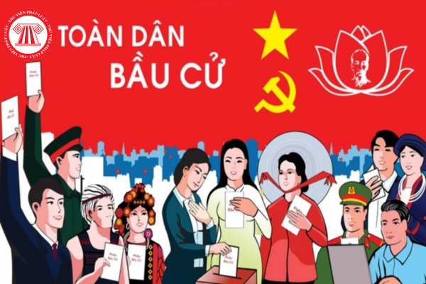 Pháp luật