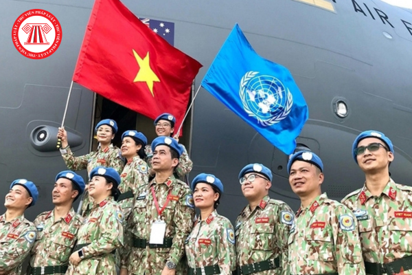 Pháp luật