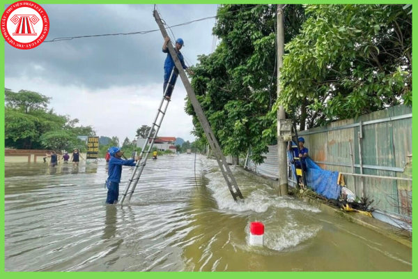 Pháp luật