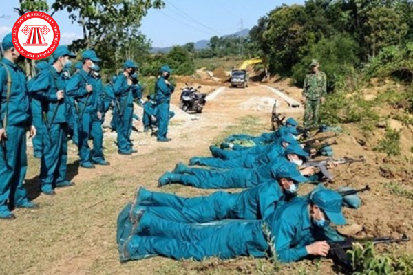 Pháp luật