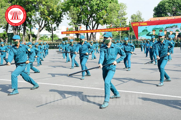 Pháp luật