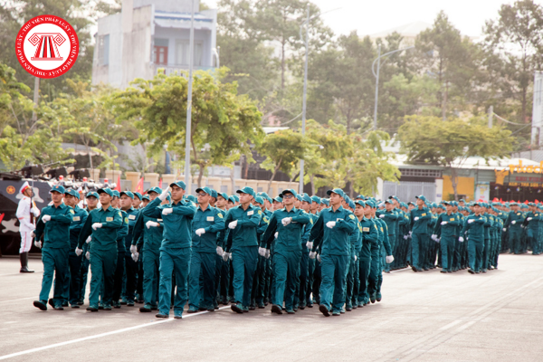 Pháp luật
