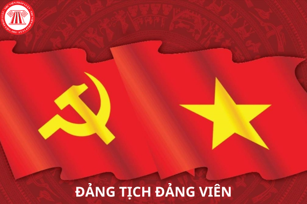 Pháp luật