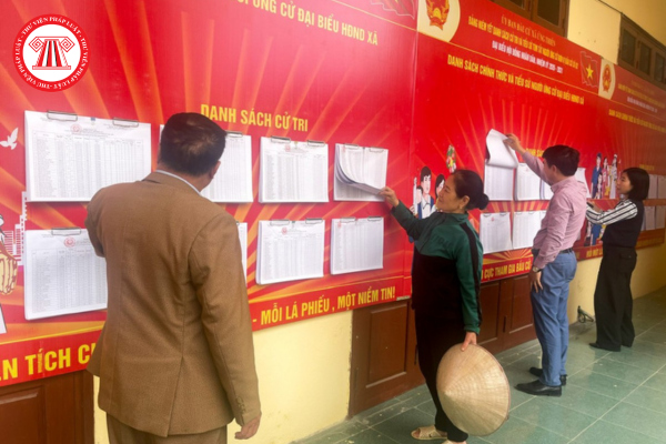 Pháp luật