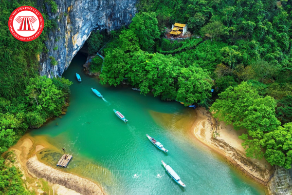 Pháp luật