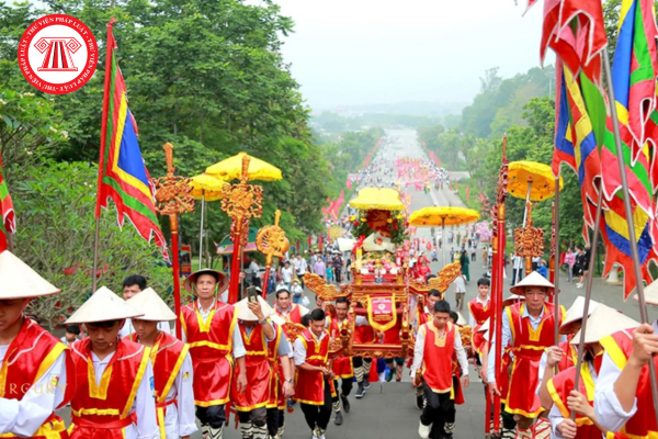 Pháp luật