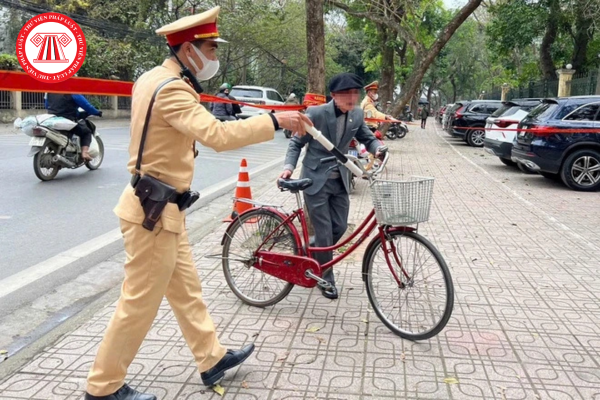 Pháp luật
