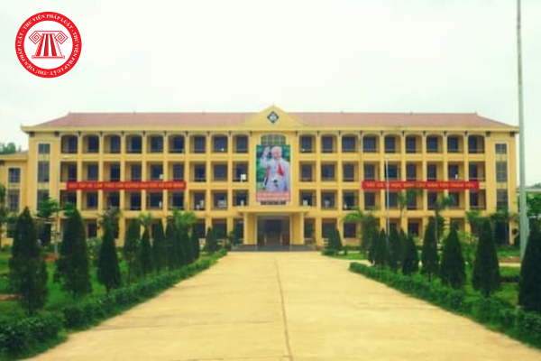 Pháp luật