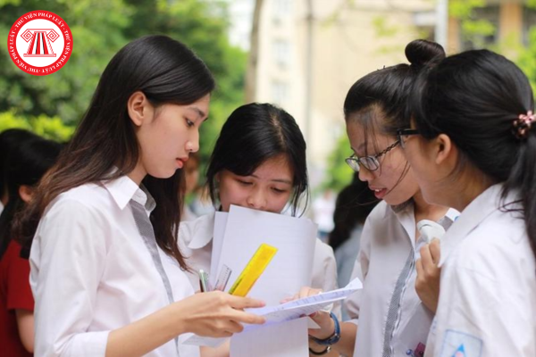 Pháp luật