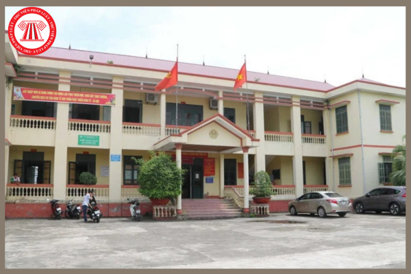 Pháp luật