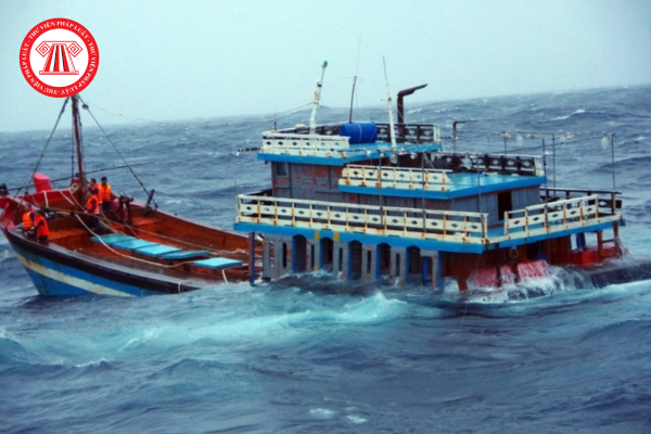 Pháp luật