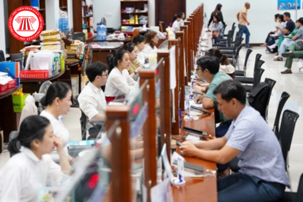 Pháp luật