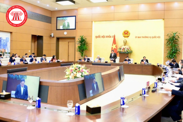 Pháp luật