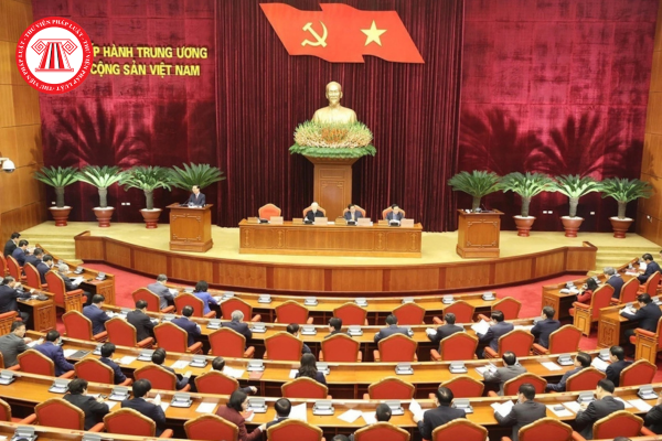 Pháp luật