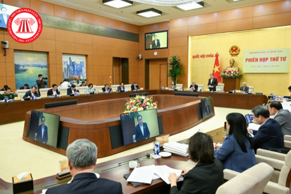 Pháp luật