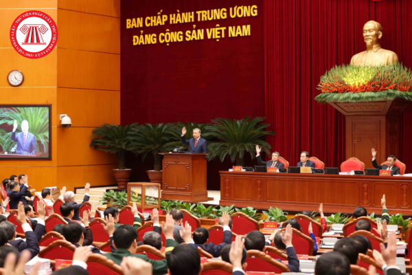 Pháp luật