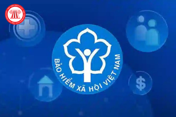 Pháp luật