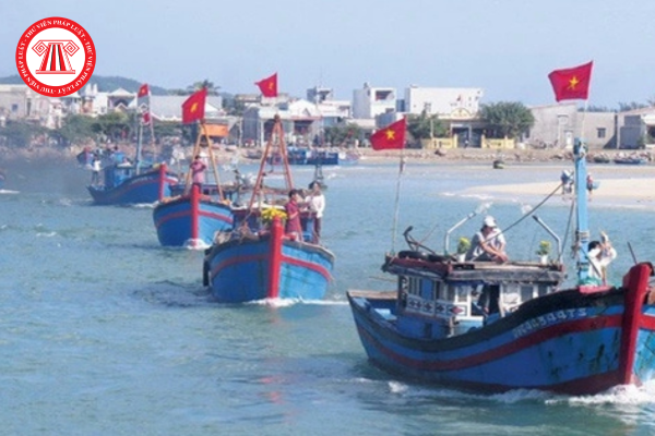 Pháp luật