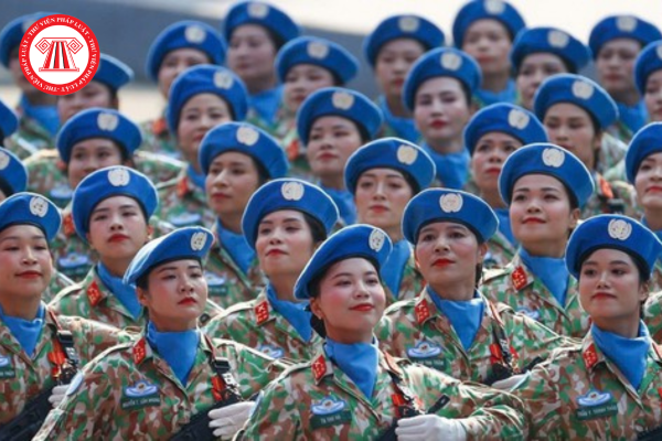 Pháp luật