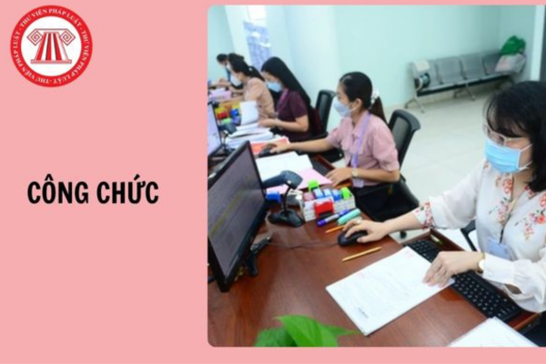 Pháp luật