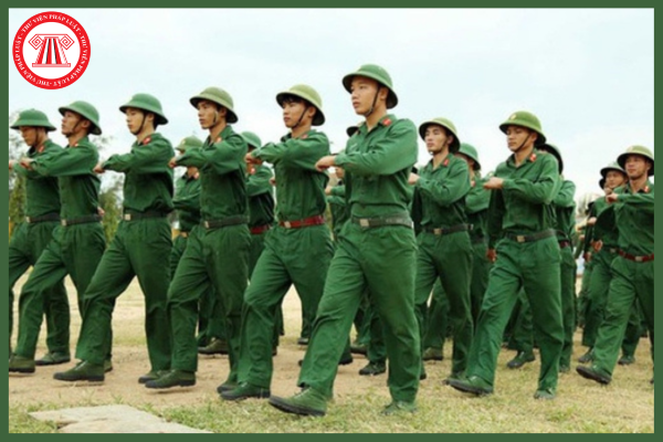 Pháp luật