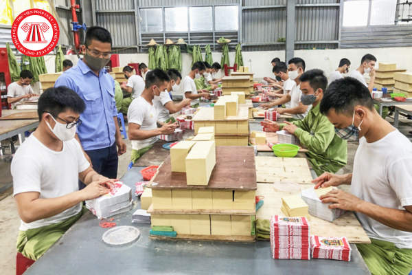 Pháp luật