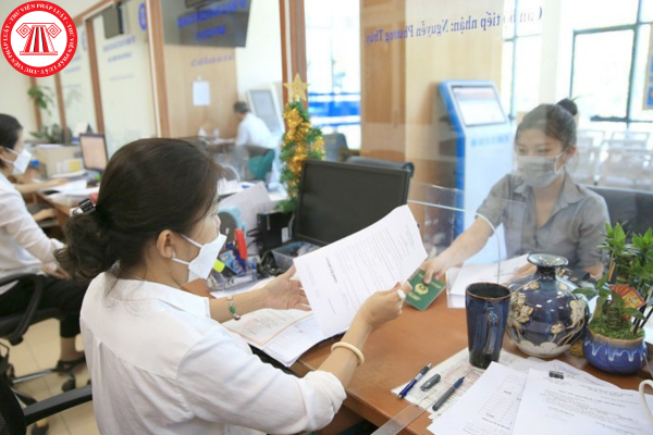 Pháp luật
