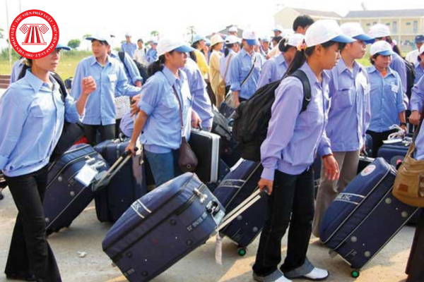 Pháp luật