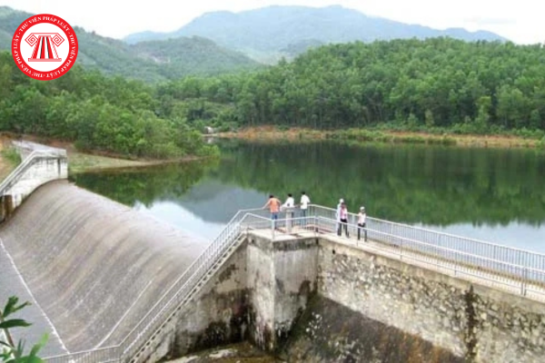 Pháp luật
