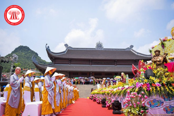 Pháp luật