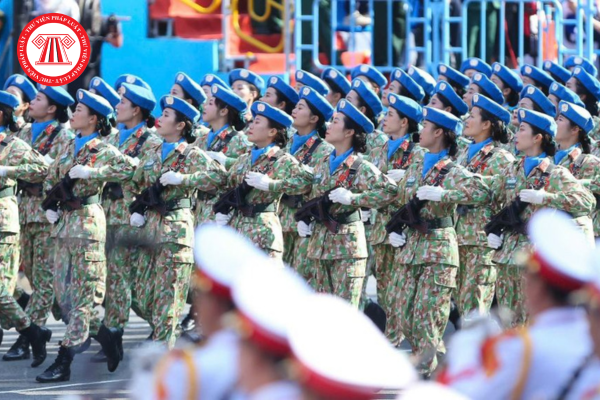 Pháp luật