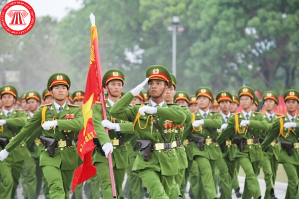 Pháp luật