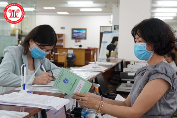 Pháp luật