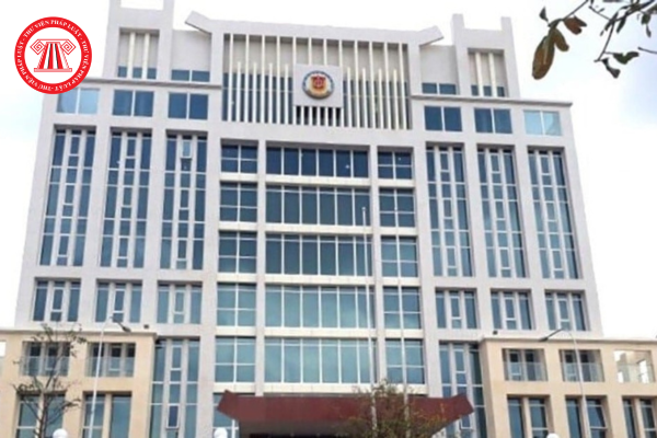 Pháp luật