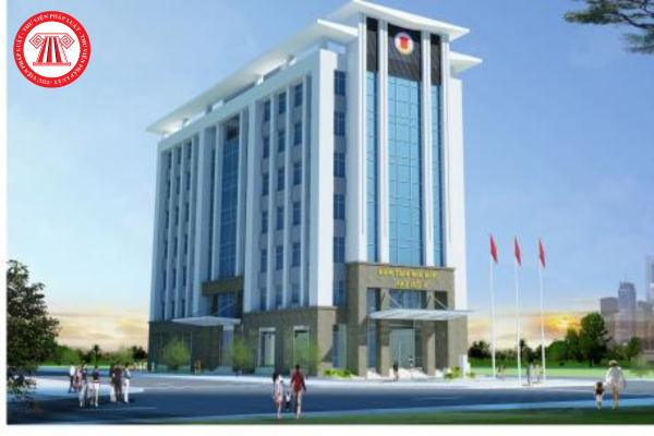 Pháp luật